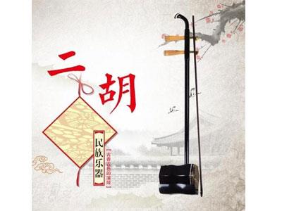 招聘马鞍山二胡家教老师